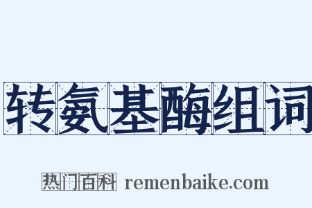 转氨基酶组词是什么意思的图片